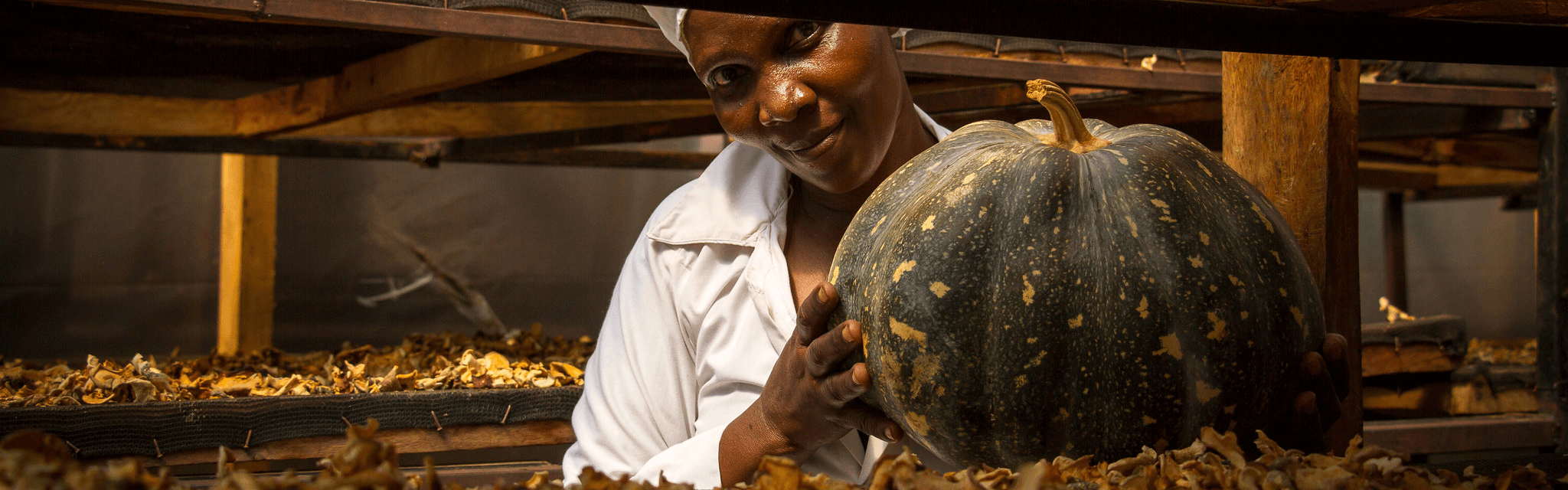 Maximizing the Nutrition Impact of Investments in Agrifood Systems