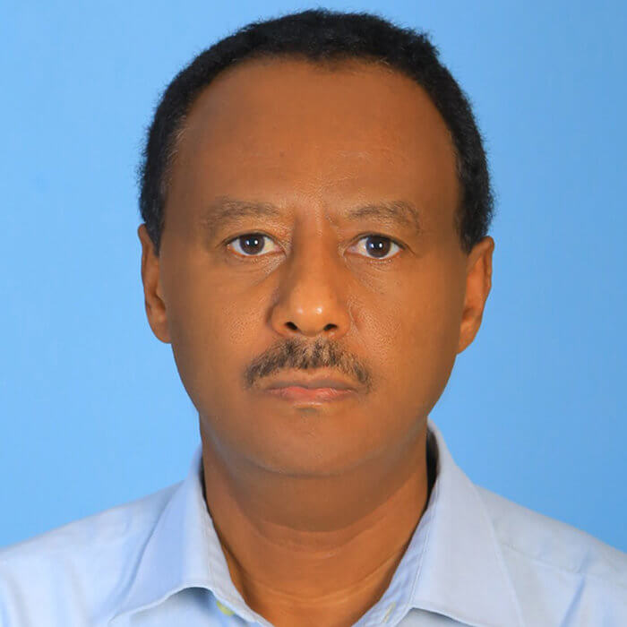 Image of Wossen A. Negash