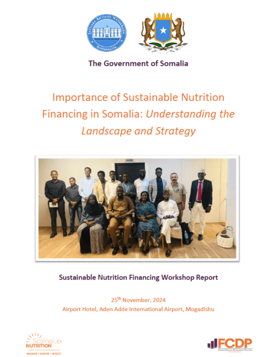 Report cover: The government of Somalia, Importance of sustainable nutrition financing in Somalia: Understanding the landscape and trajectory