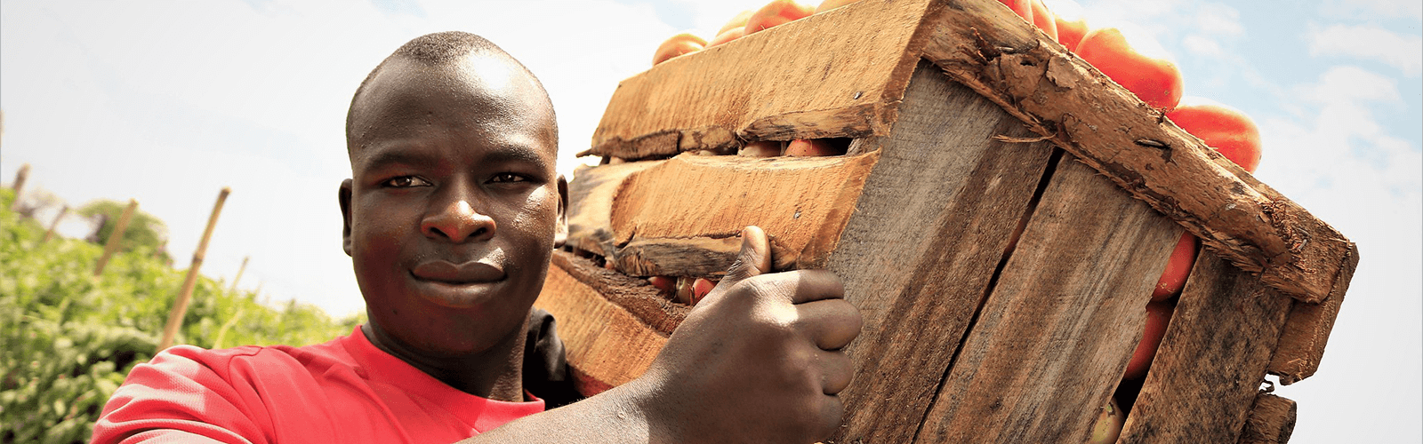 Supporting the Millennium Challenge Corporation (MCC) in Investing in Nutrition for Economic Growth